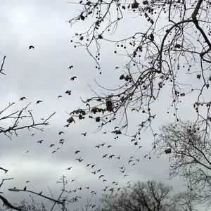 Meet your Posher, Terry